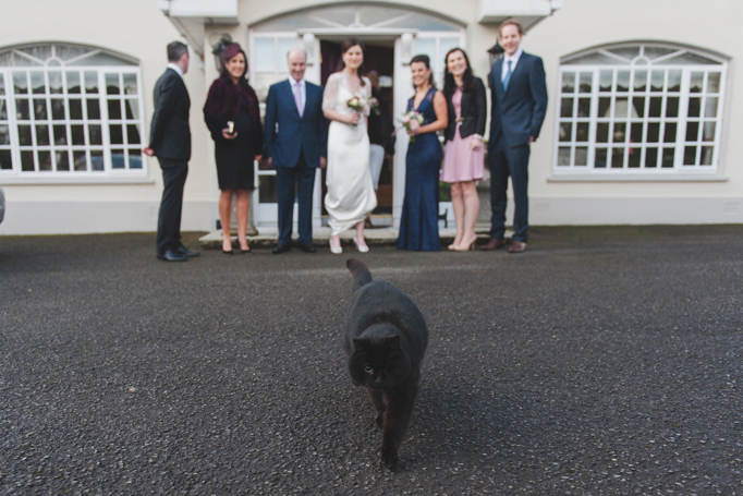 Group shot with black cat on wedding 