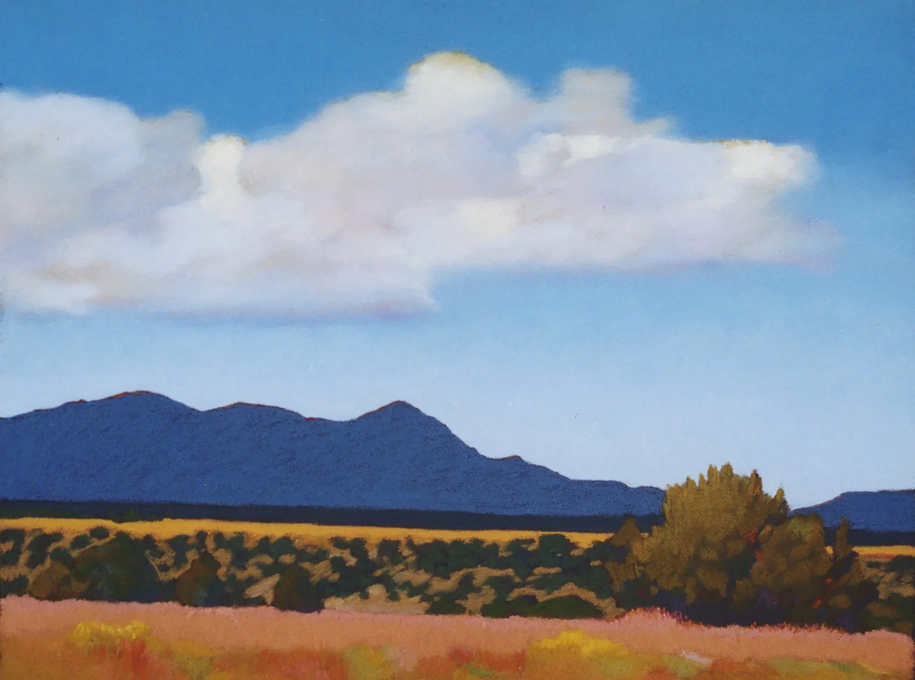 Distant Blue Ridge  (845)