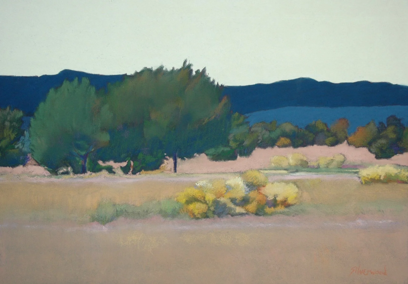 Chamisa, Beginning to Turn (216) 