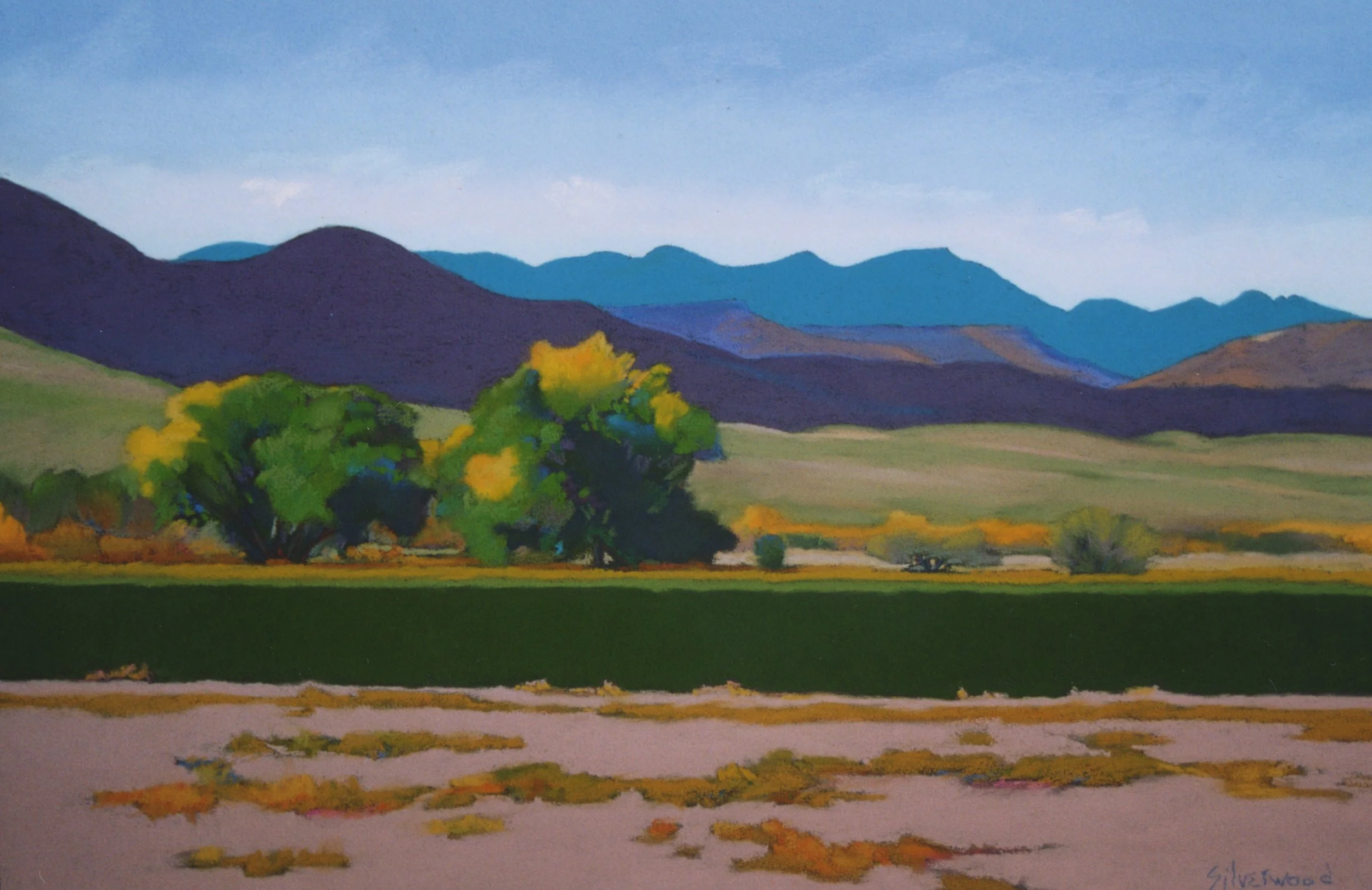 Alfalfa Field, Bosque (47B)