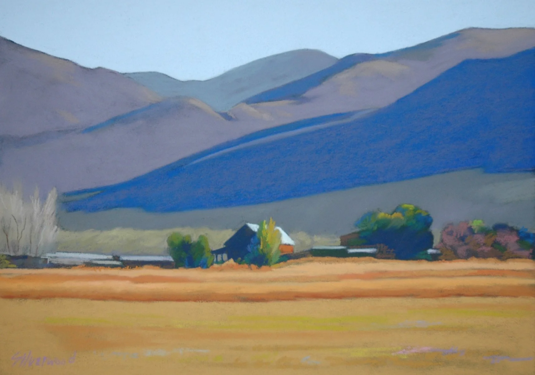 Distant Farm, Late Afternoon (97)