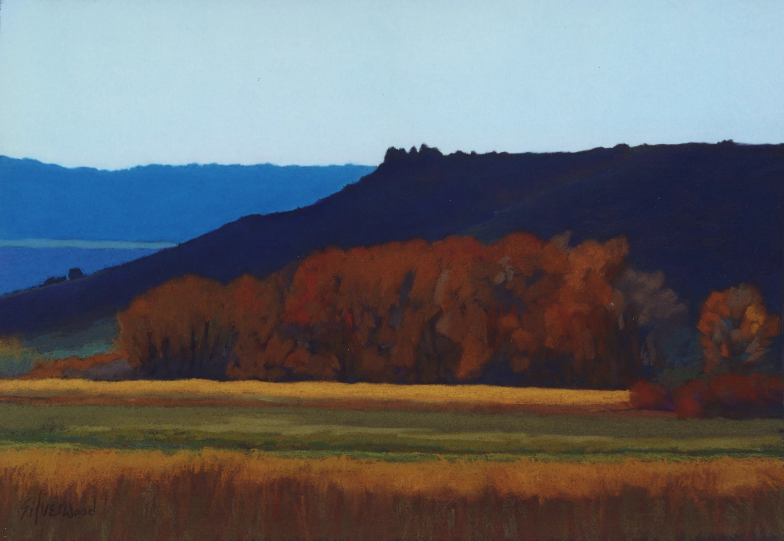 Autumn Oranges (822)