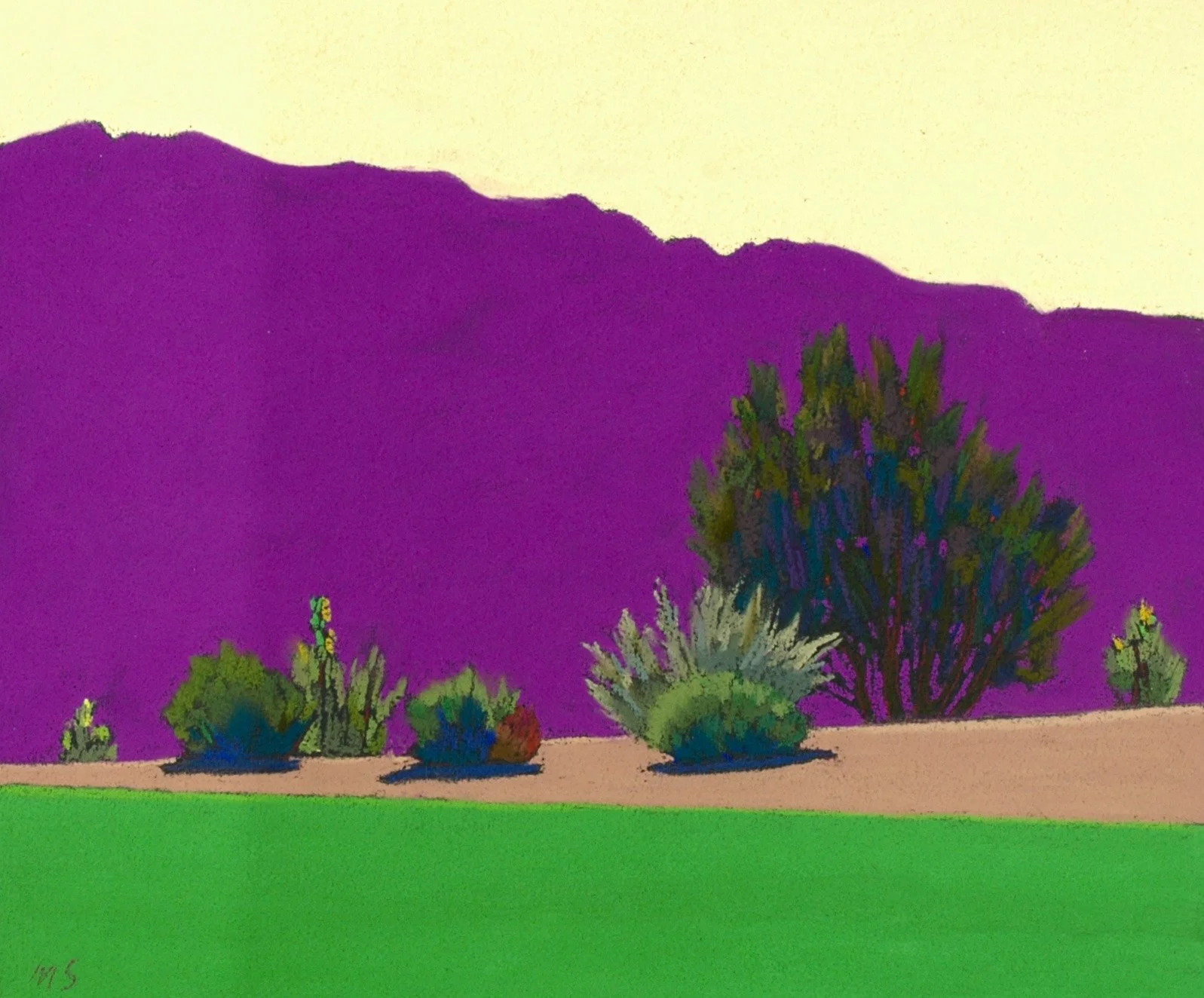 Desert Greens No. 16 