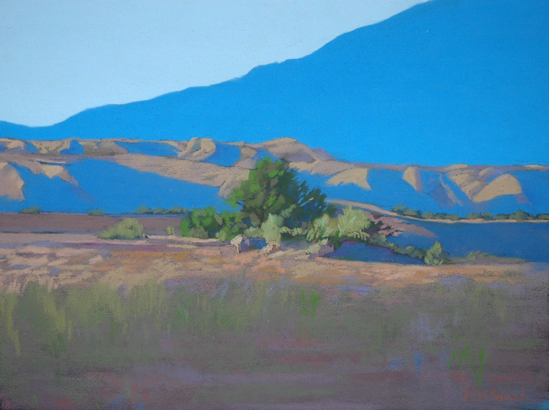 Blue Shadow Mountain (405) 