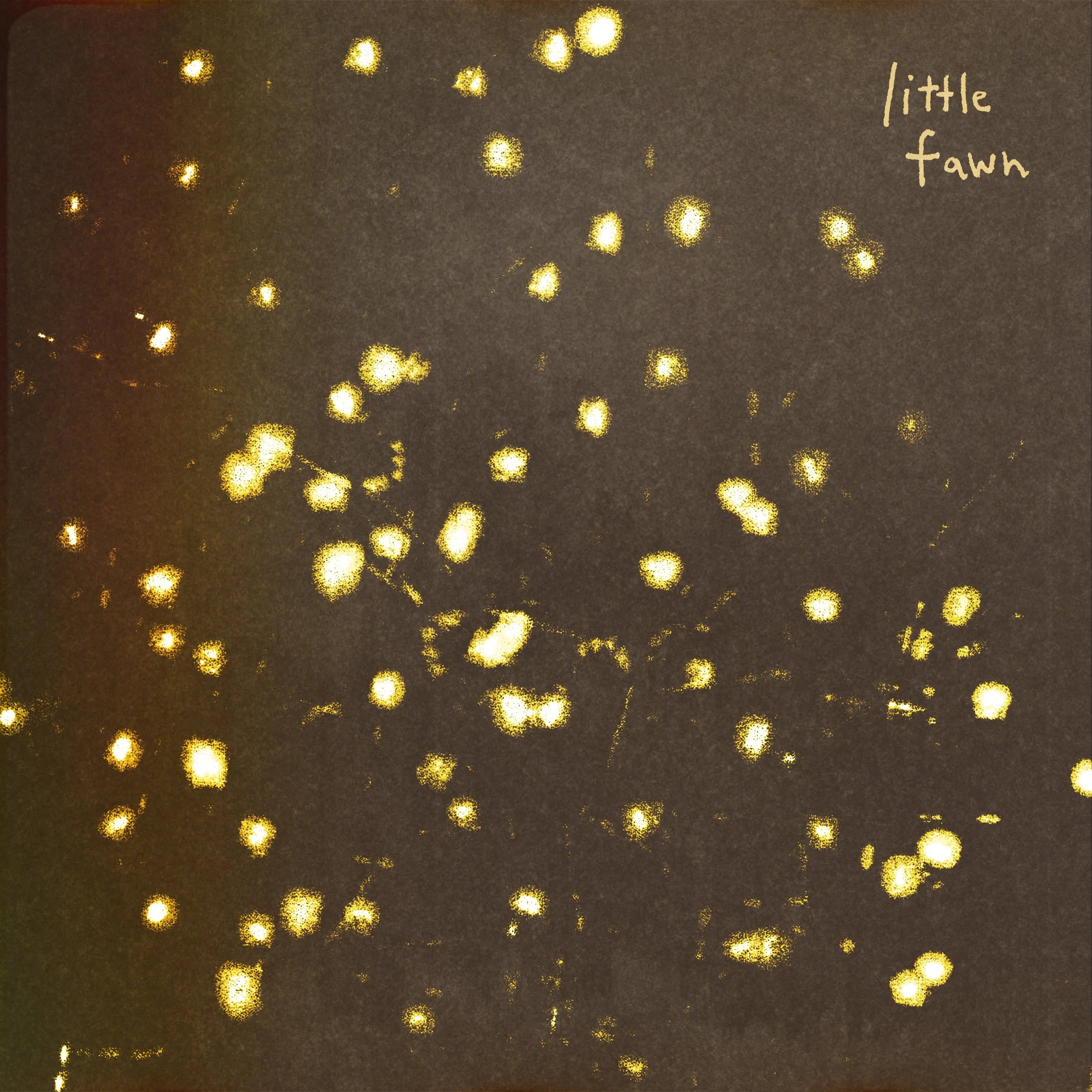 little fawn 1.jpg