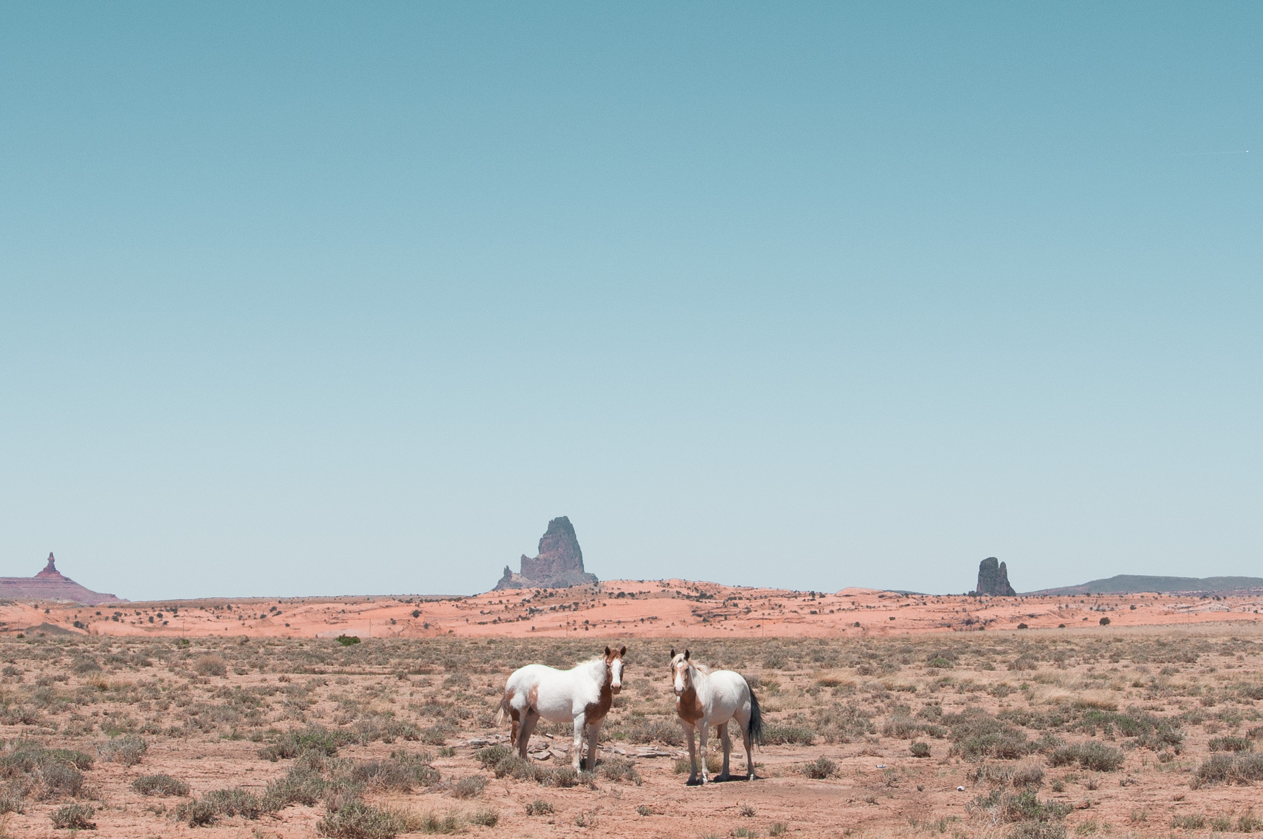 Kayenta horses for website (1 of 1).jpg