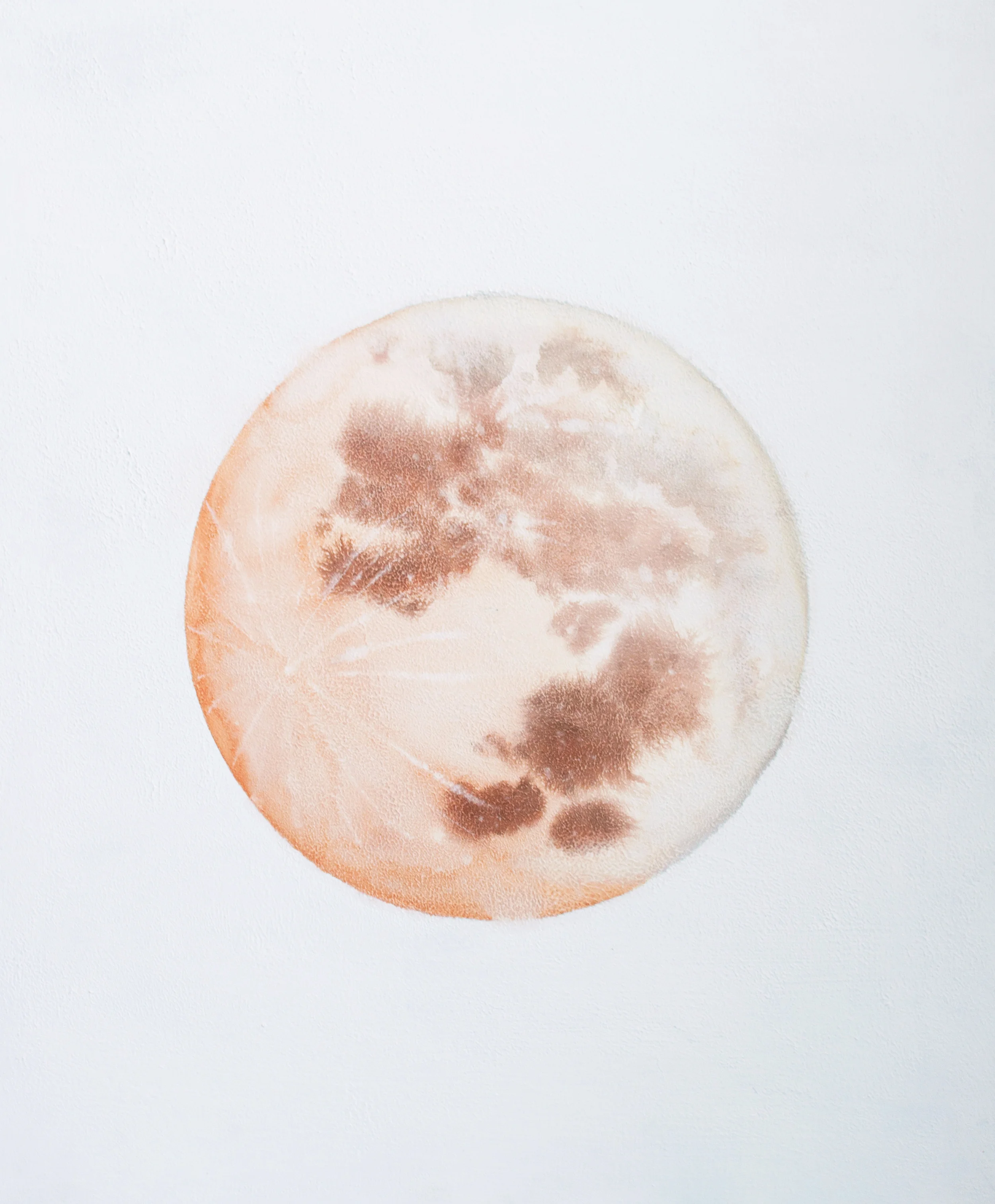 Selenelion Moon (1 of 1).jpg