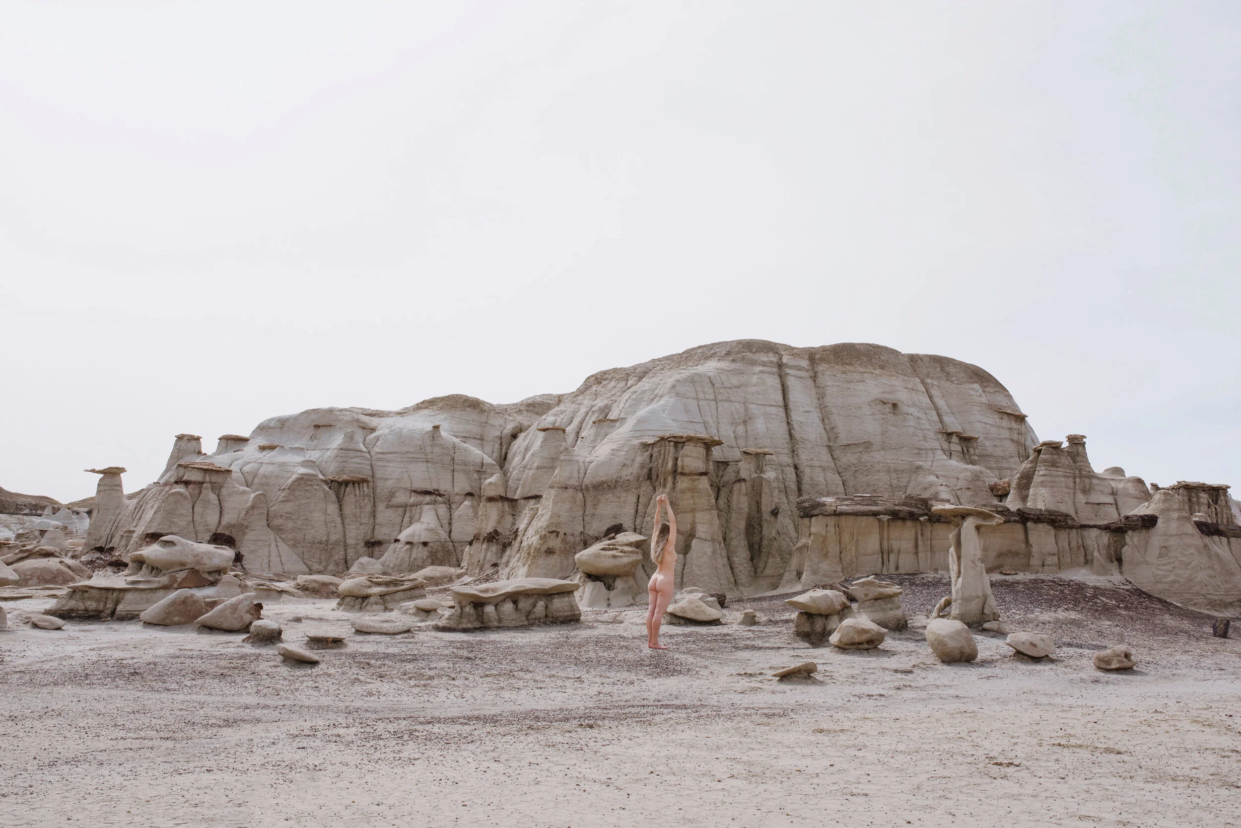 free as the wind.JPG