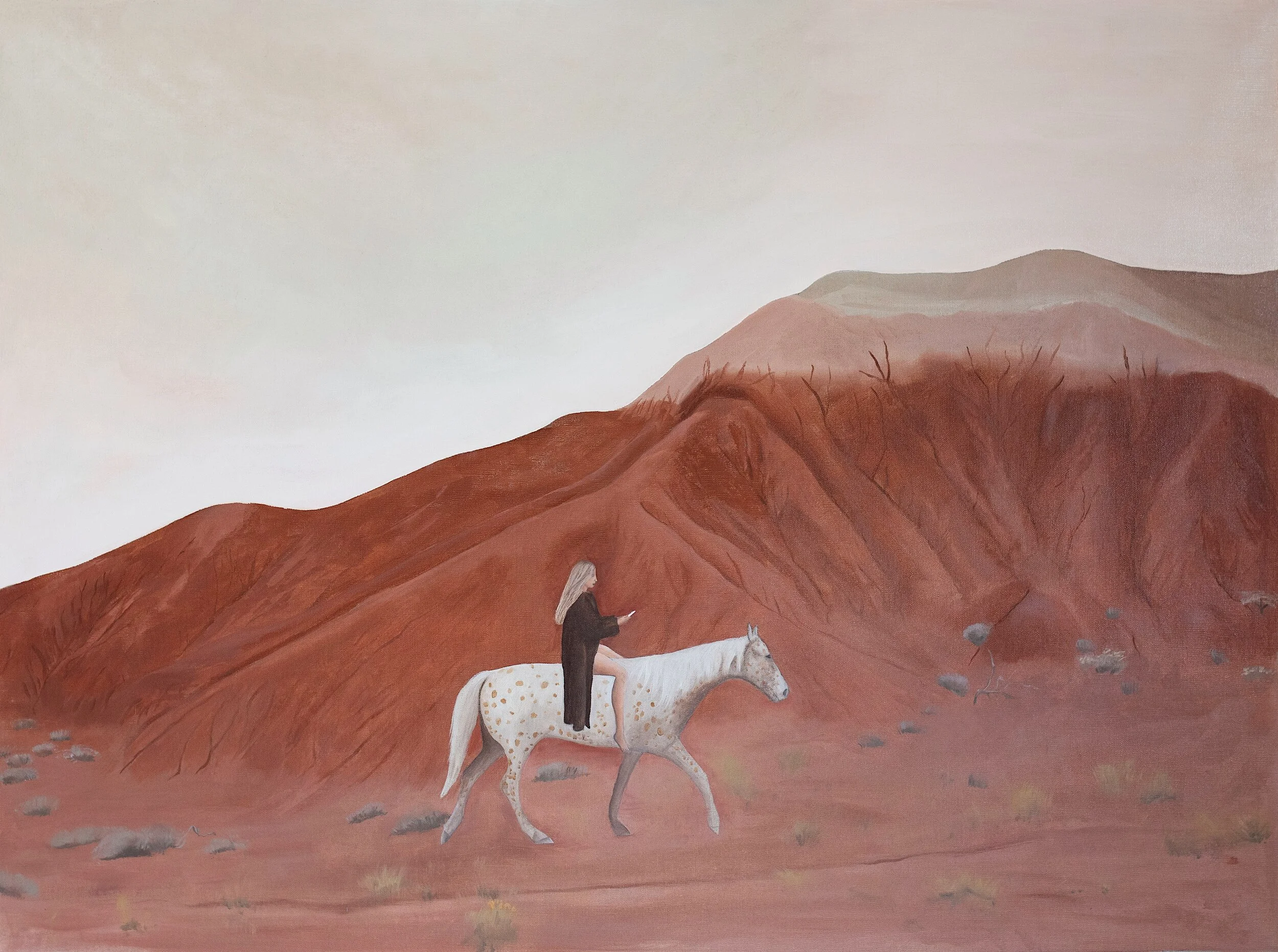 Appaloosa in the Painted Hills.JPG