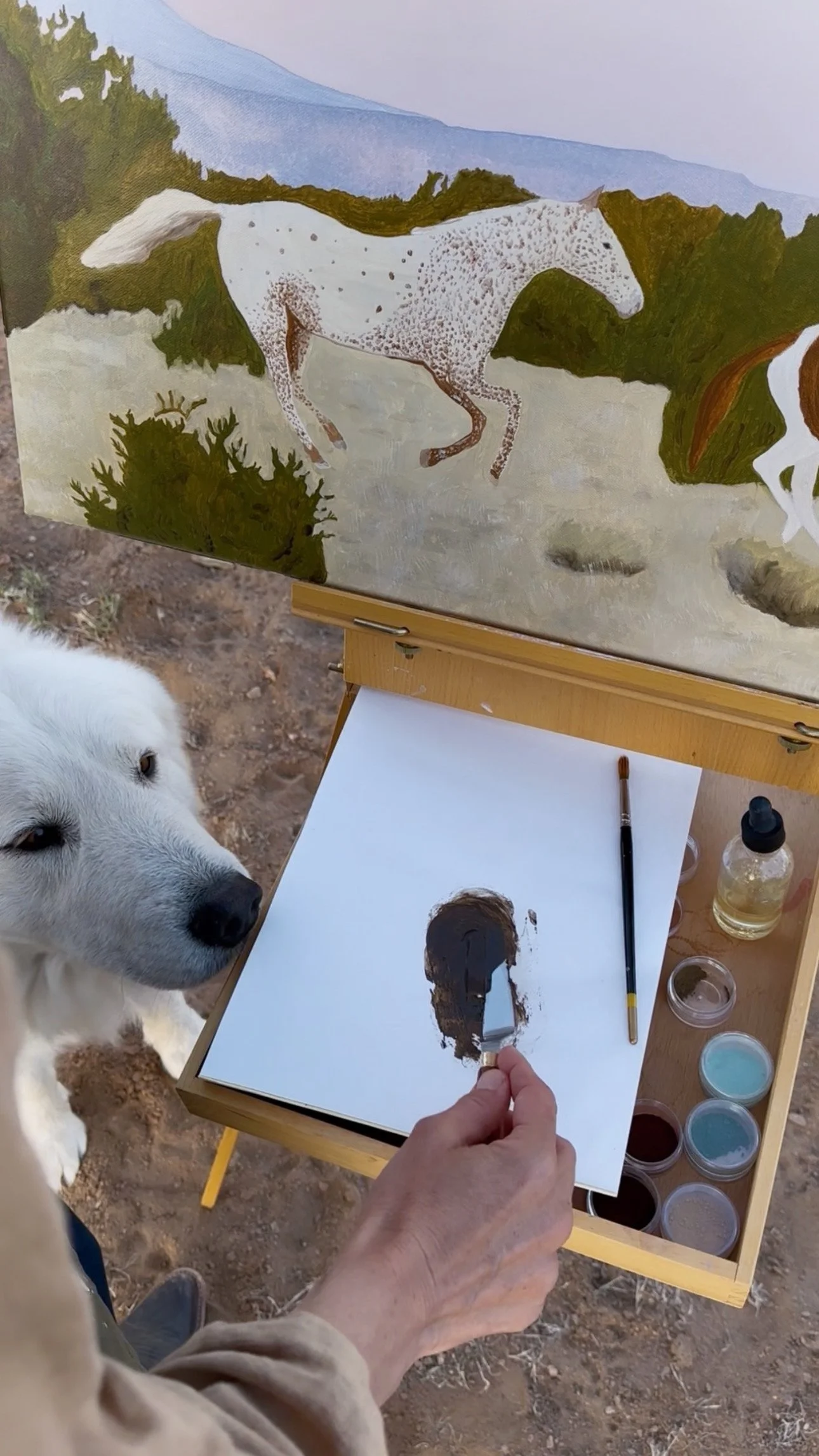 2BE0CCCA-F0CD-4307-8DA0-FBBD7AD693D6 (1).JPG