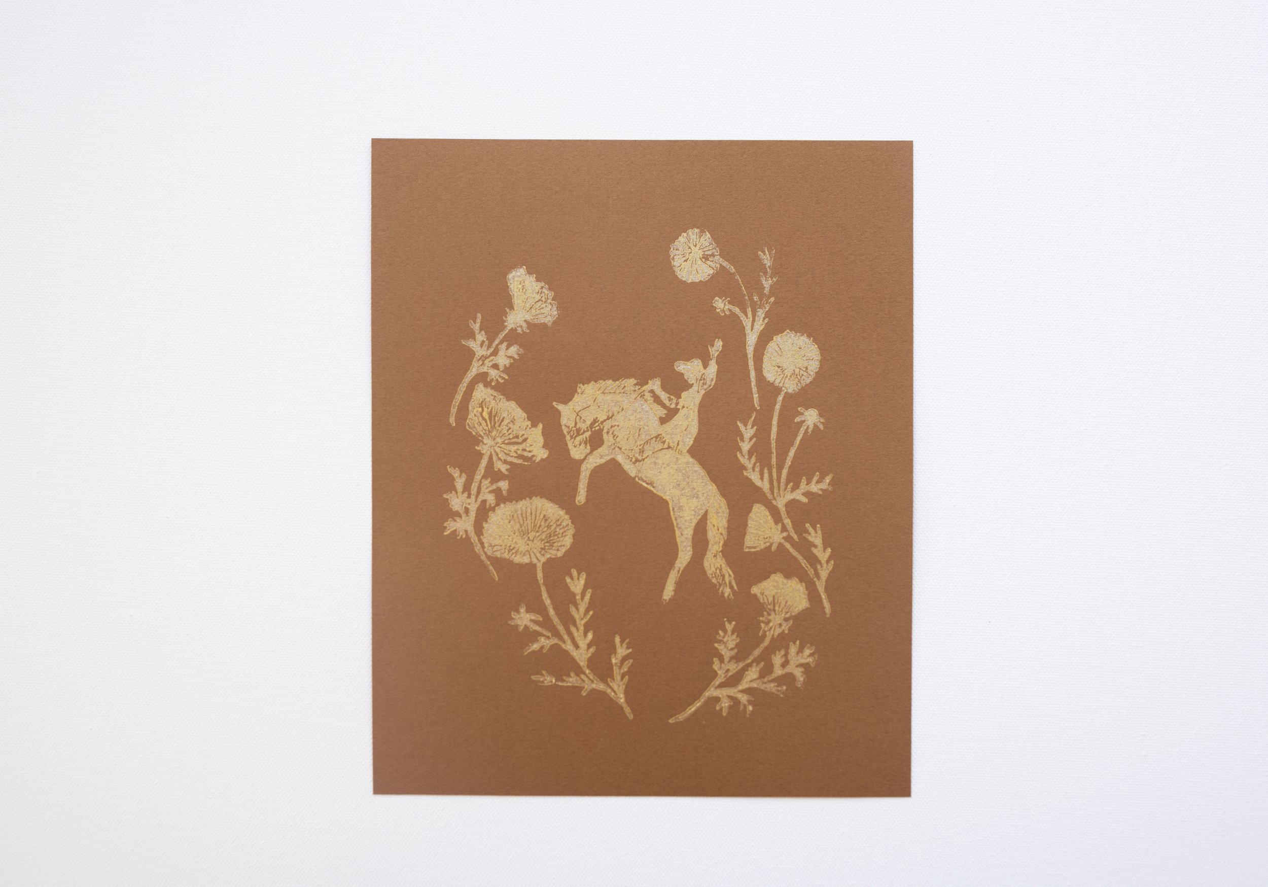 Mustang and Cosmos cholla.jpg