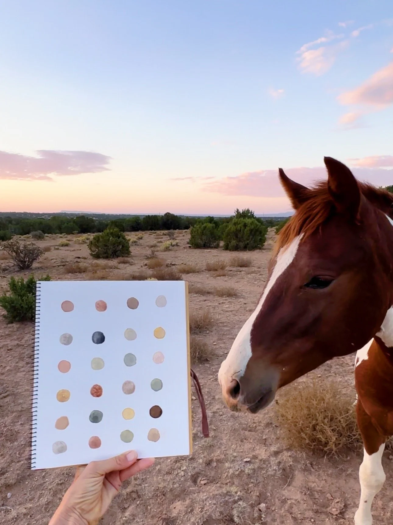 FullSizeRender_VSCO 12.JPG