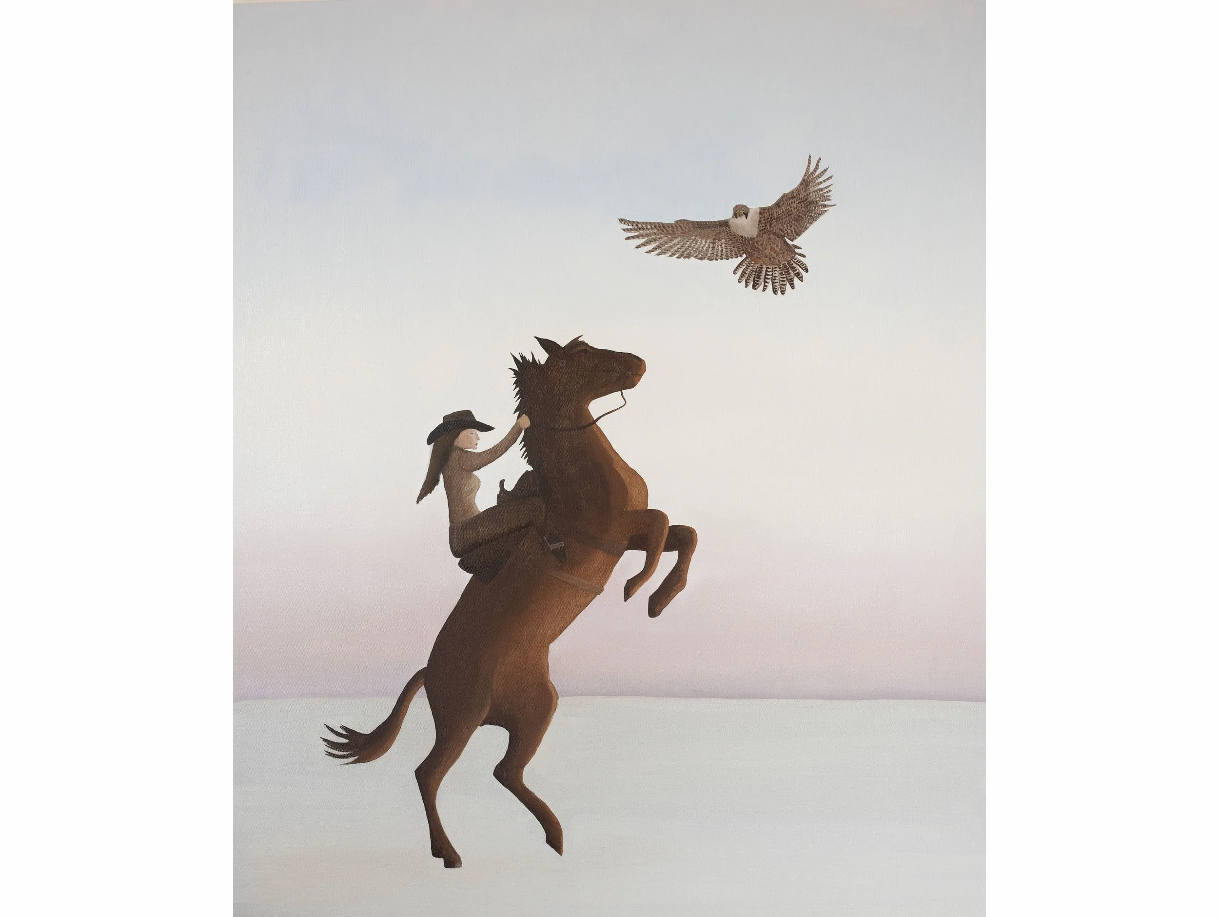 The Mustang and the Hawk for web.jpg