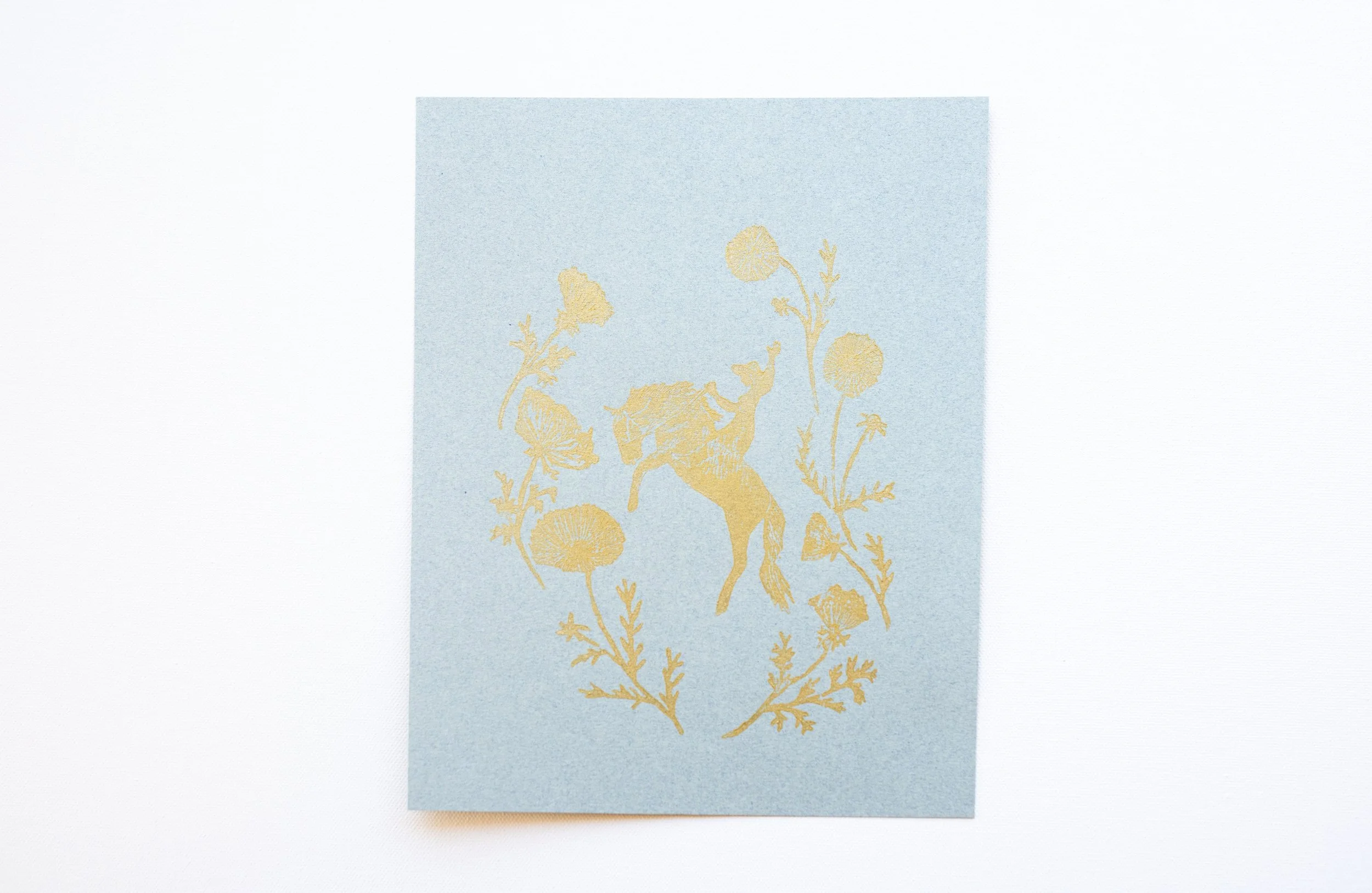 Mustang and Cosmos Western Sky copy.jpg