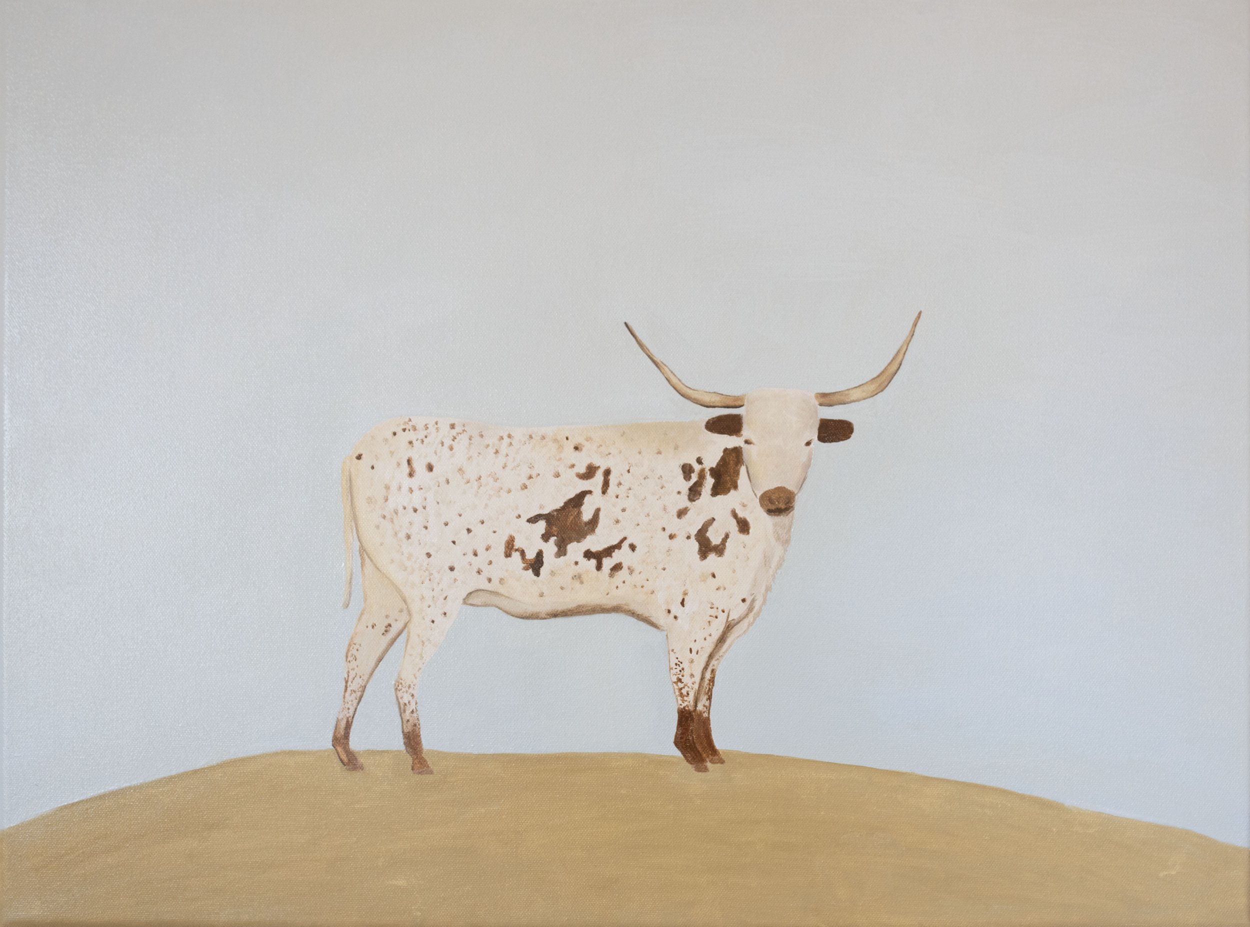 Longhorn copy.jpg