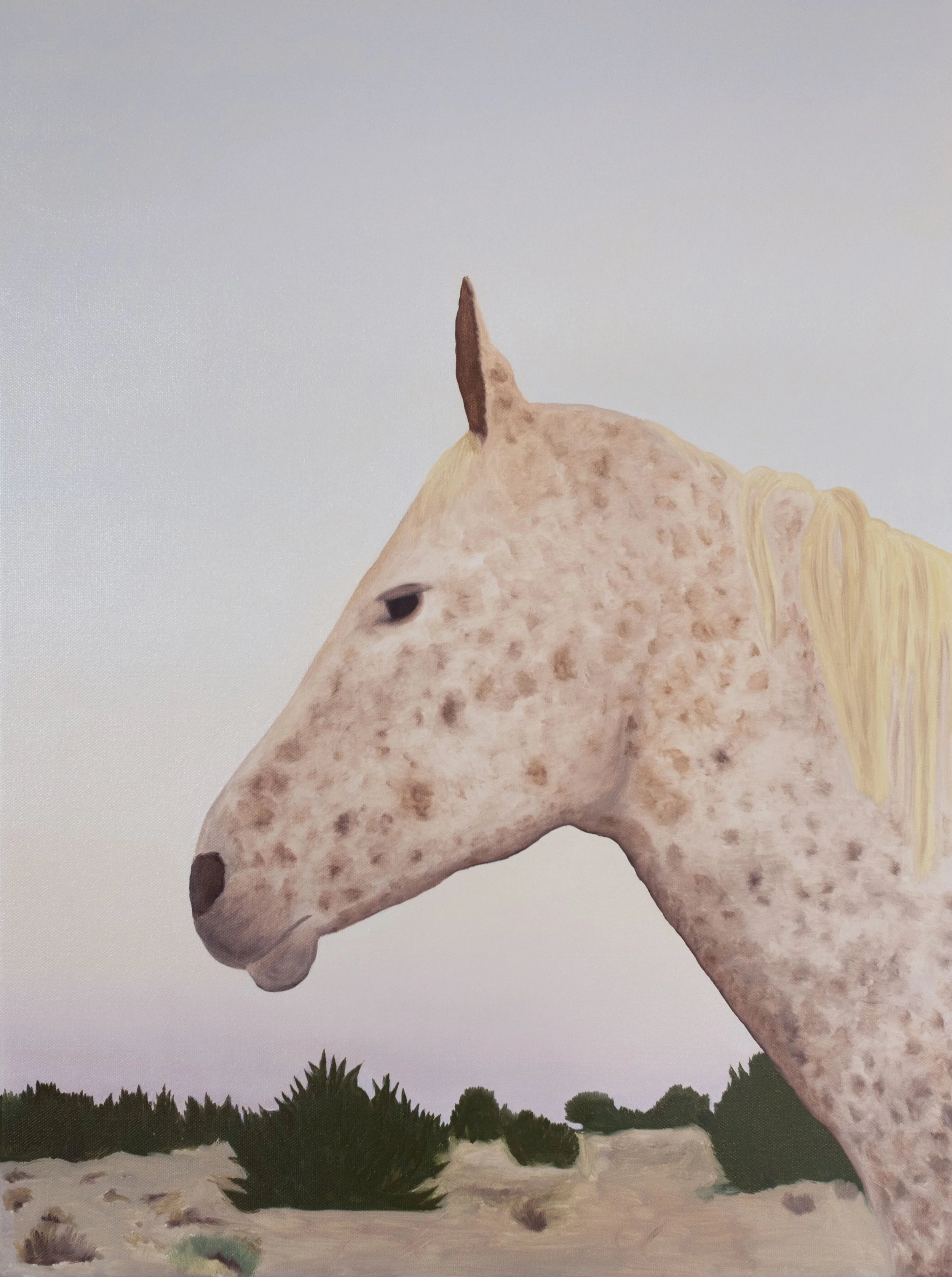 A Horse Named Moon.jpg