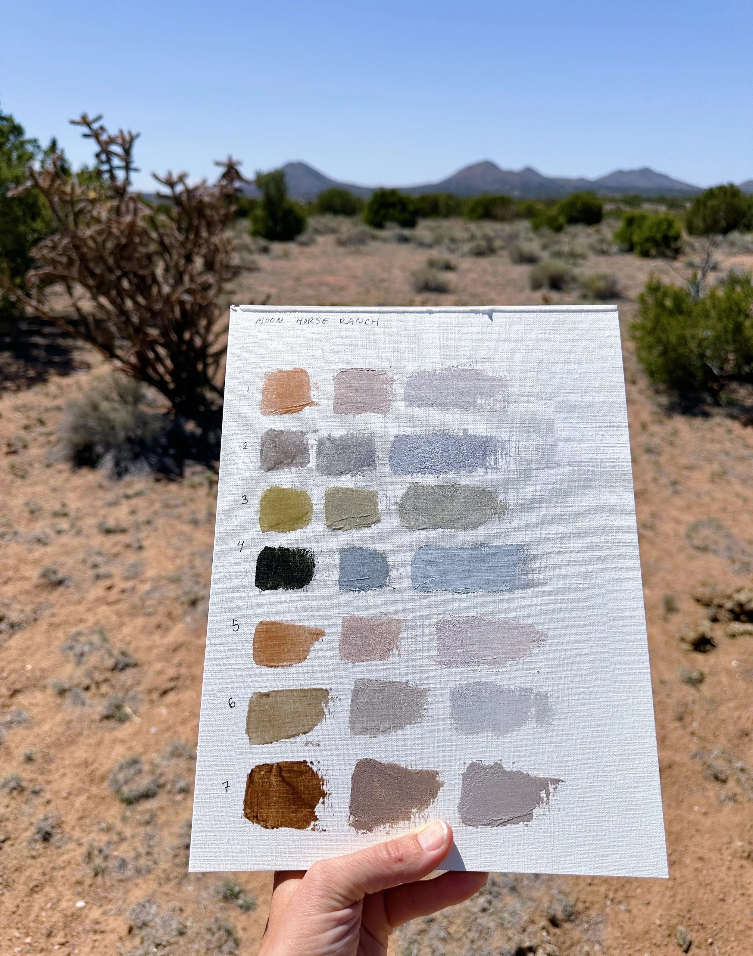 7B7E2AF7-4CC5-4313-84B3-DF1E39E6FA4D 2.JPG