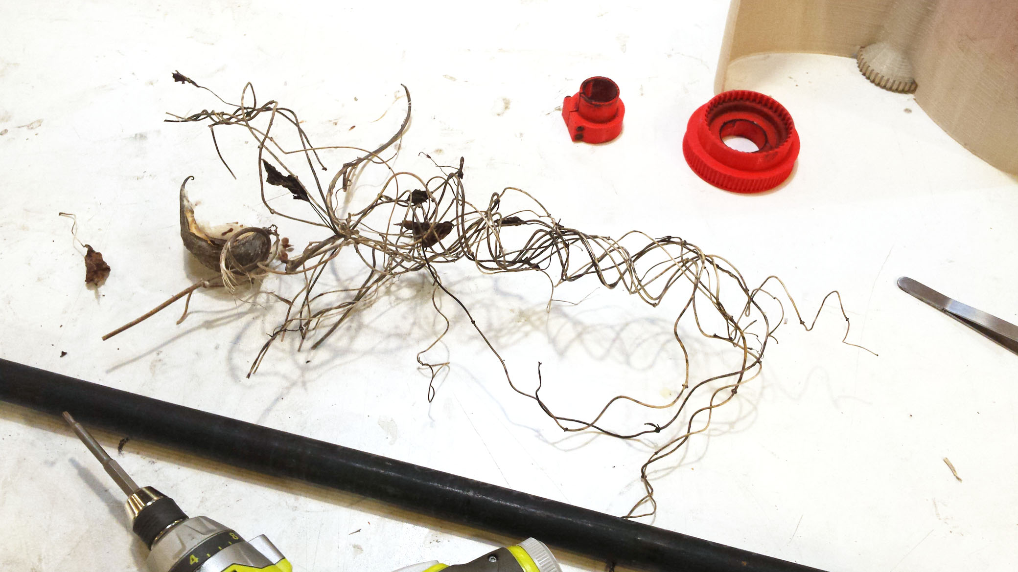 Removeing two years worth of vine growth from the 3D Printed Axial Wind turbine. 