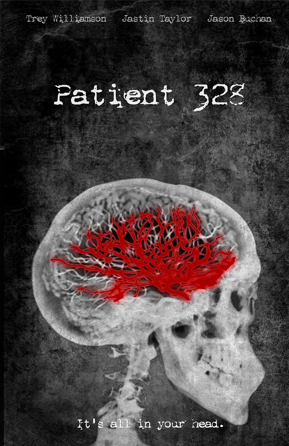 Patient 328 Poster LOW RES PROOF.jpg
