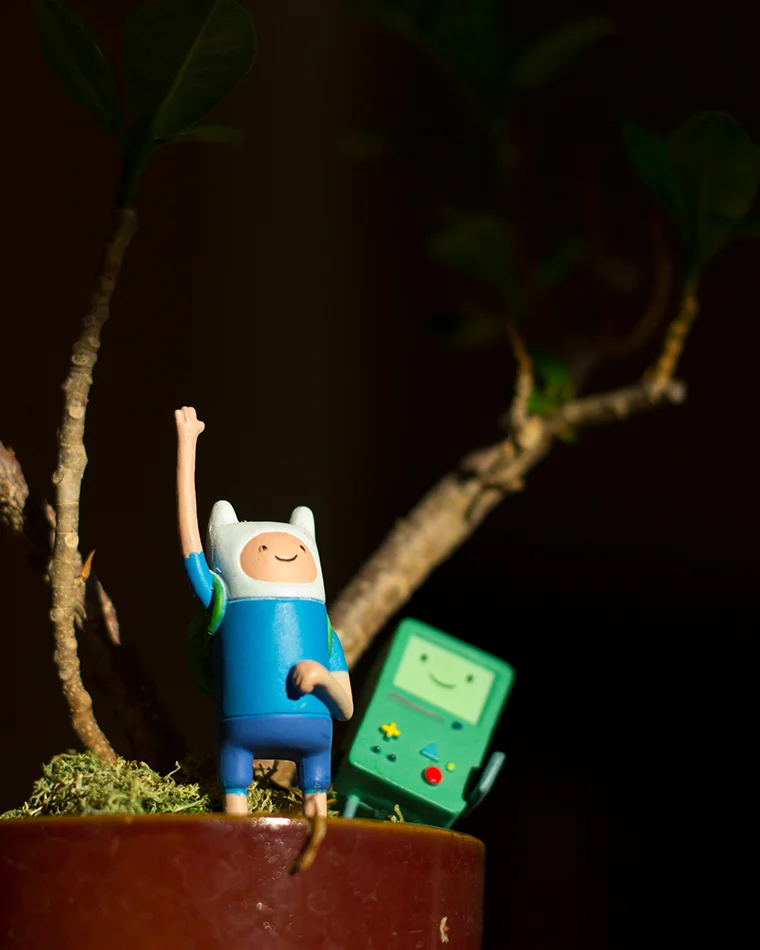 Finn and BMO Web.jpg