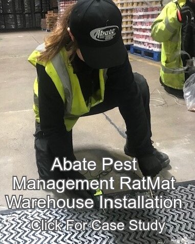 Abate Pest Management RatMat Warehouse Installation 