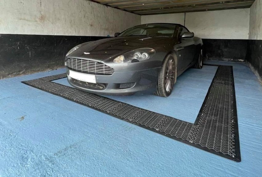 A lovely Aston Martin being guarded by RatMat