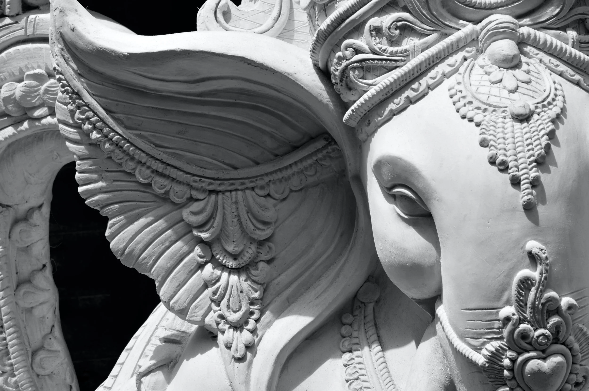 Unlock The Secrets: The Ultimate Guide To Rat Symbolism - pm4ykx9