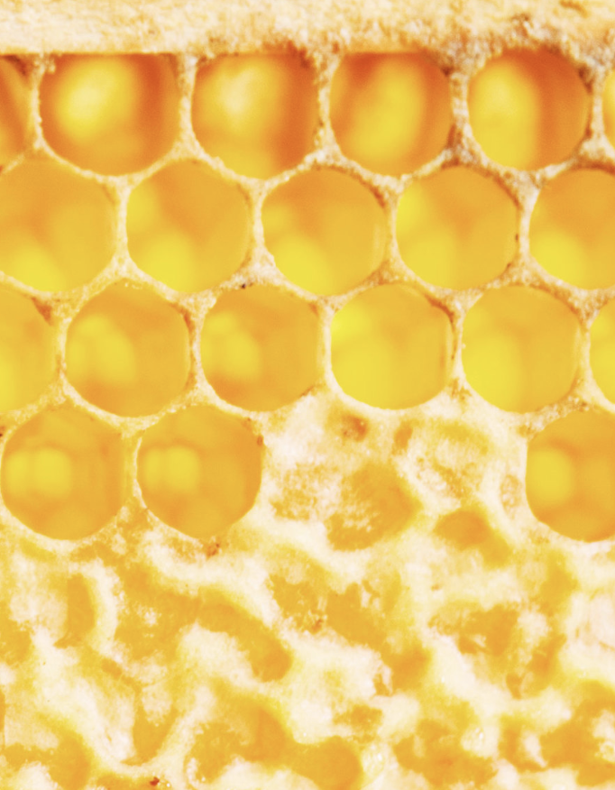 ComB.png