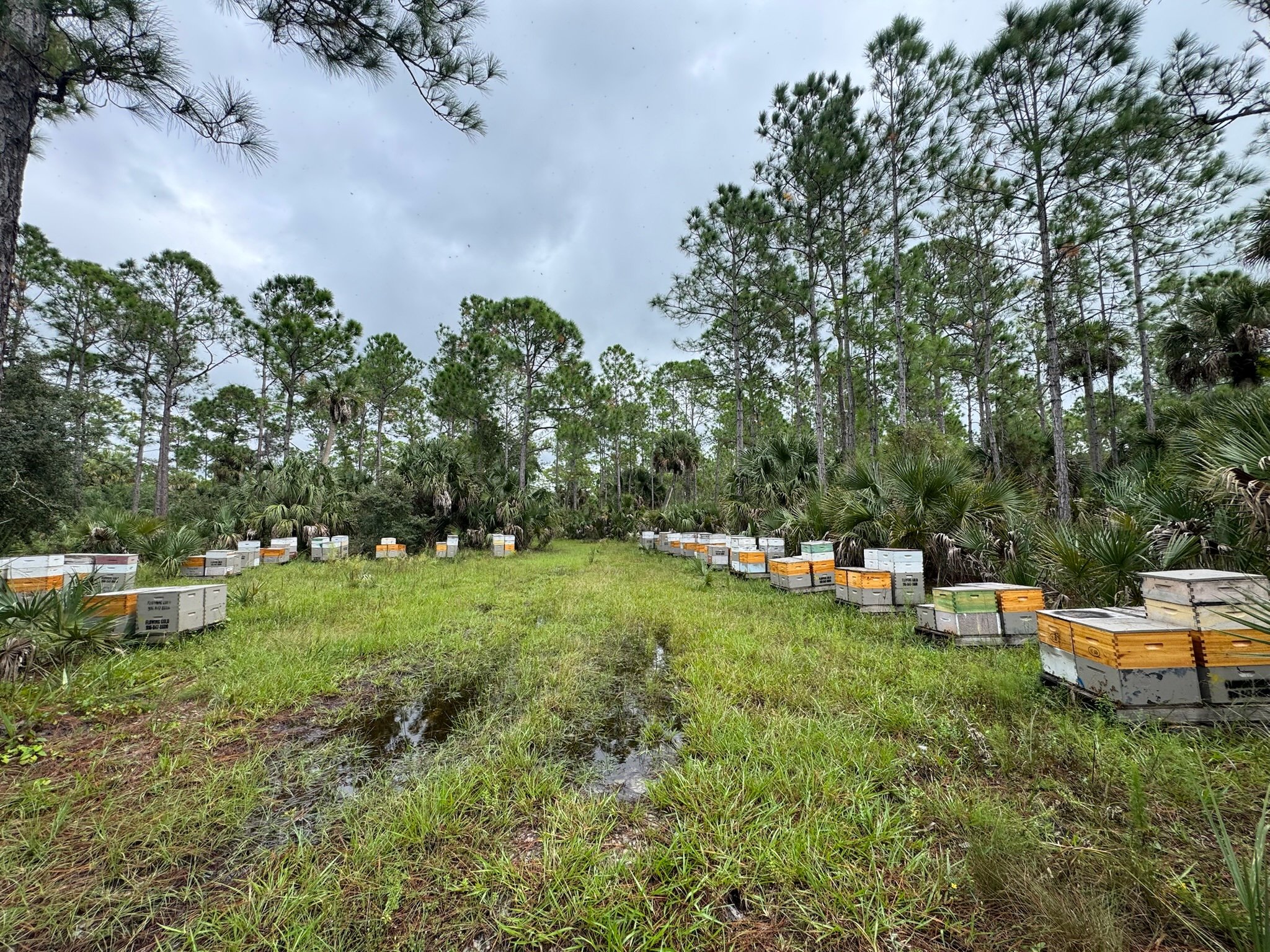 happy place for our girls