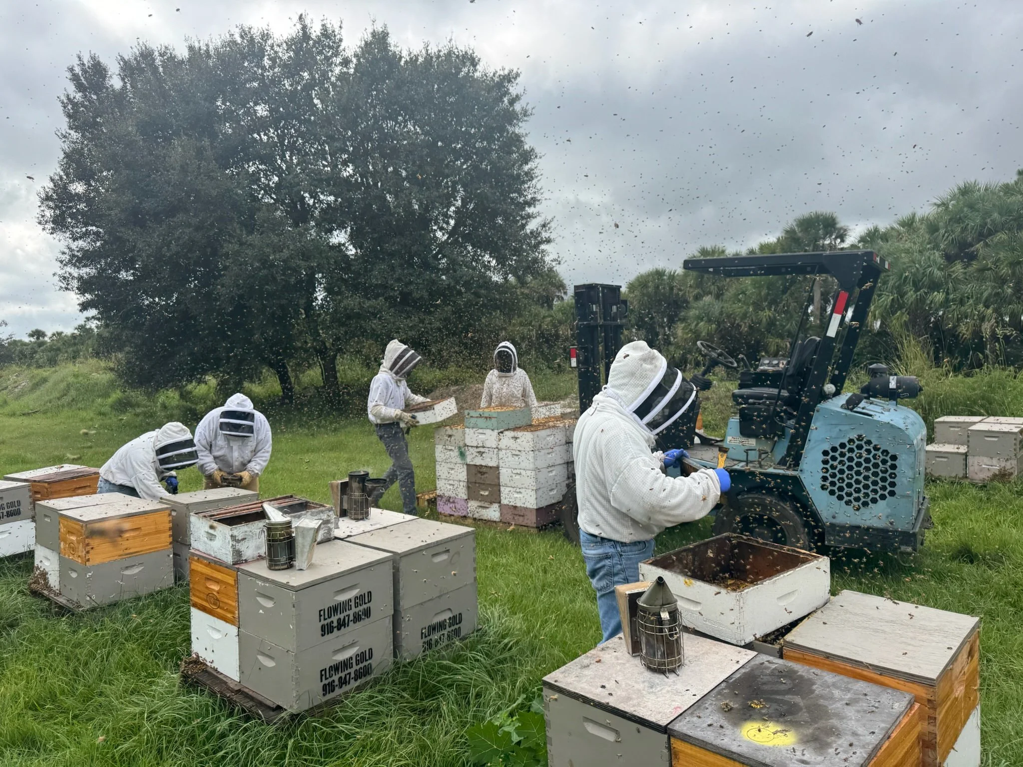 Yard work with background noise-bzzzzzz!