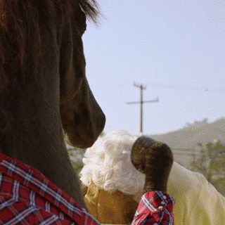 TMB_BRUSHINGGRANNY_HORSE_Stroke.gif