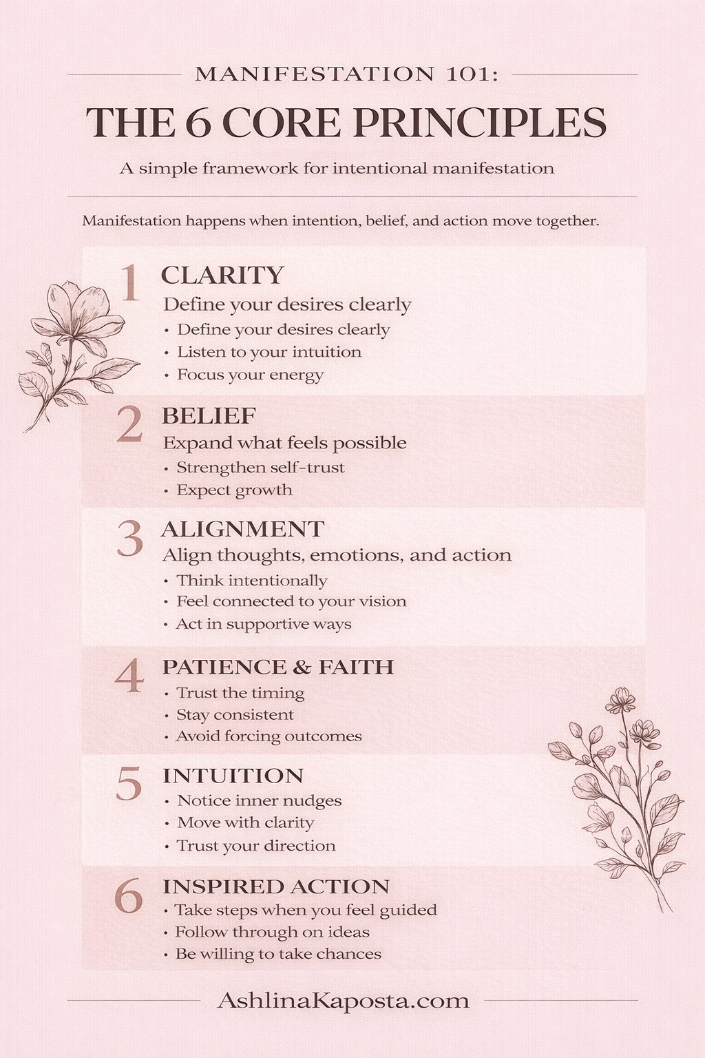 6 core principles of manifestation inforgraphic