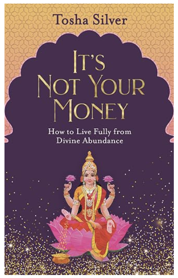 ITS NOT YOUR MONEY BOOK TOSHA SILVER