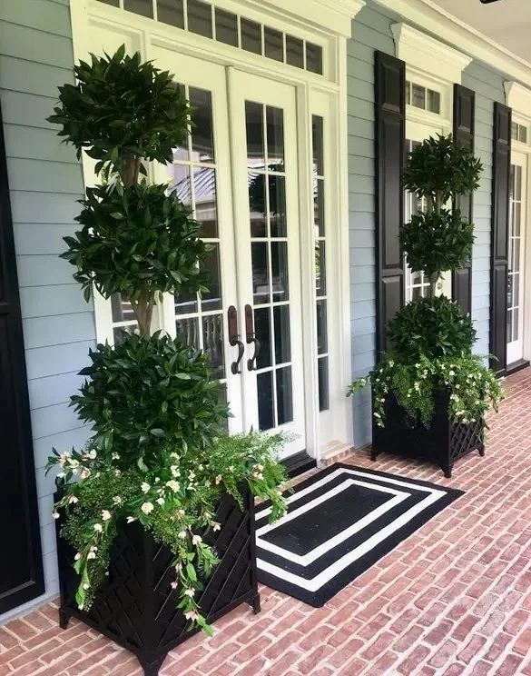 topiary planters