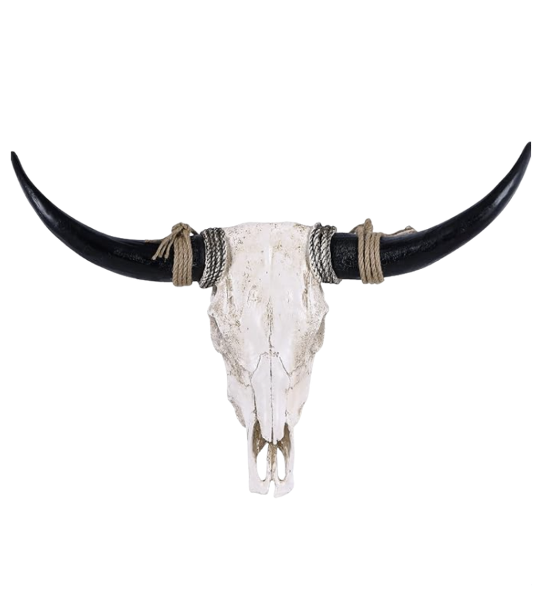 skull for decor