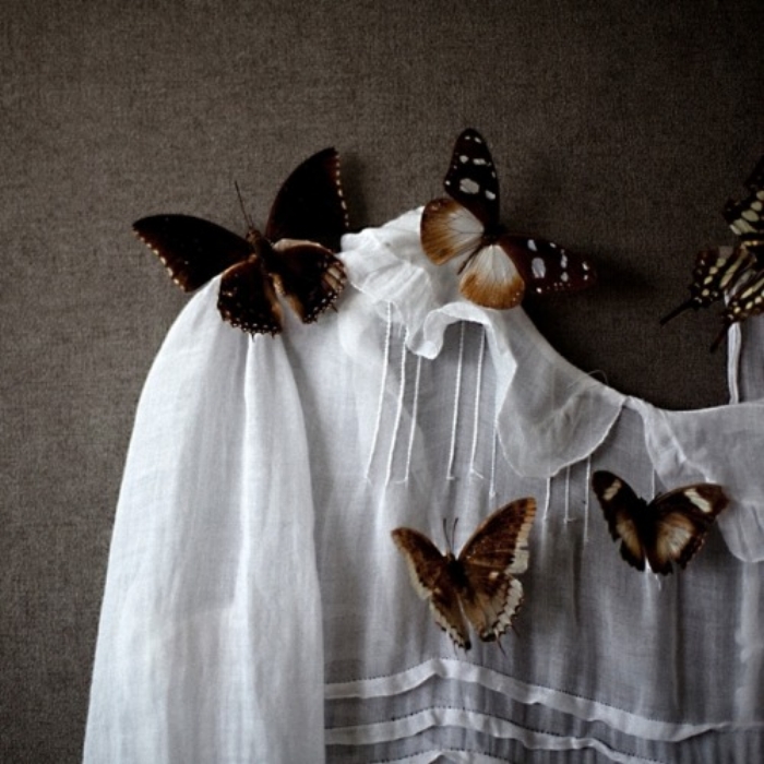 butterfliessss.jpg
