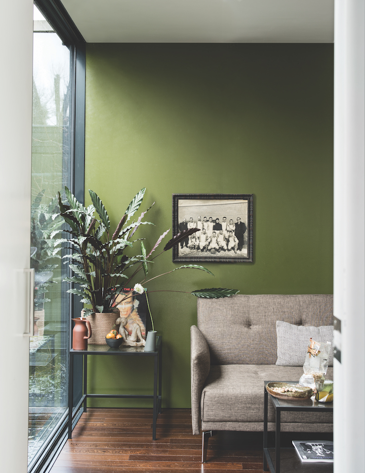 BANCHA 298 : This mid-century modern green is named after Japanese tea leaves, it provides a feeling of security.