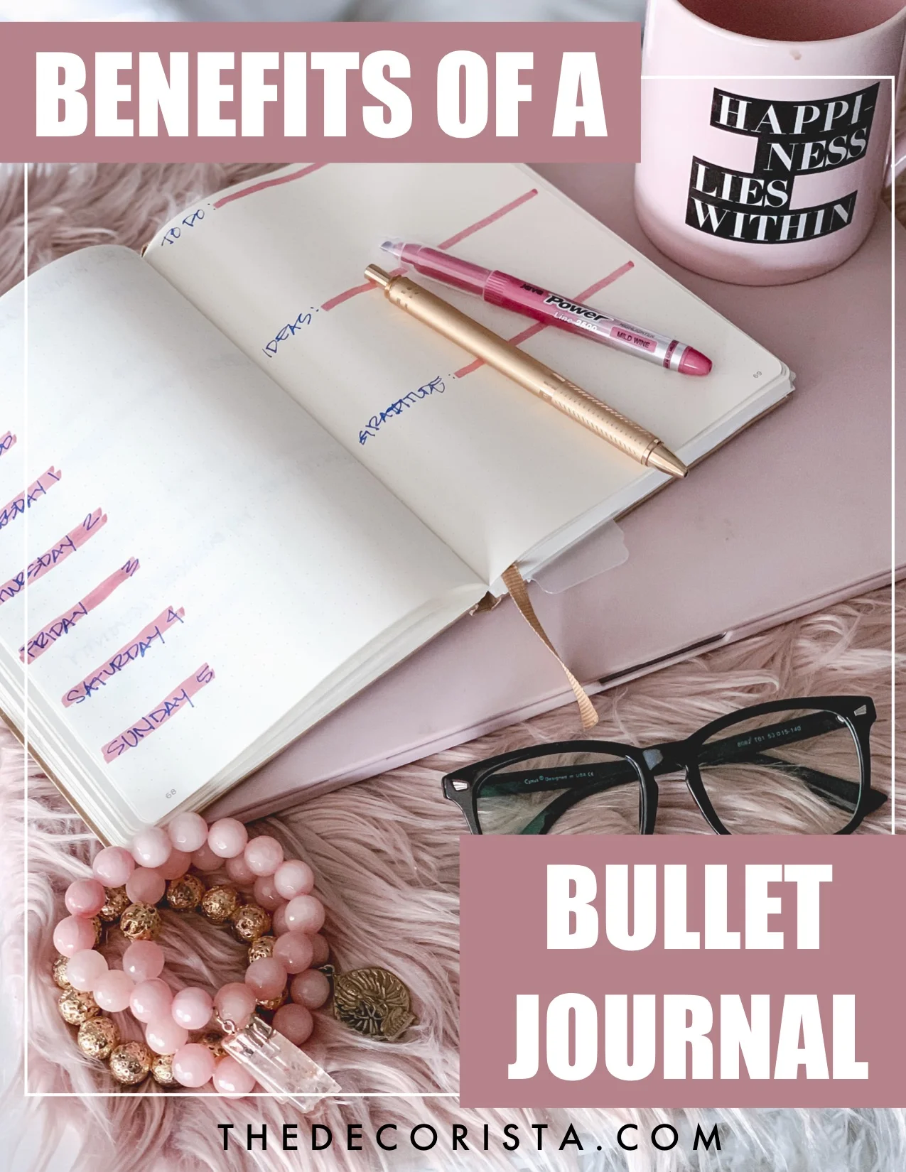 BUJO MAIN.jpg