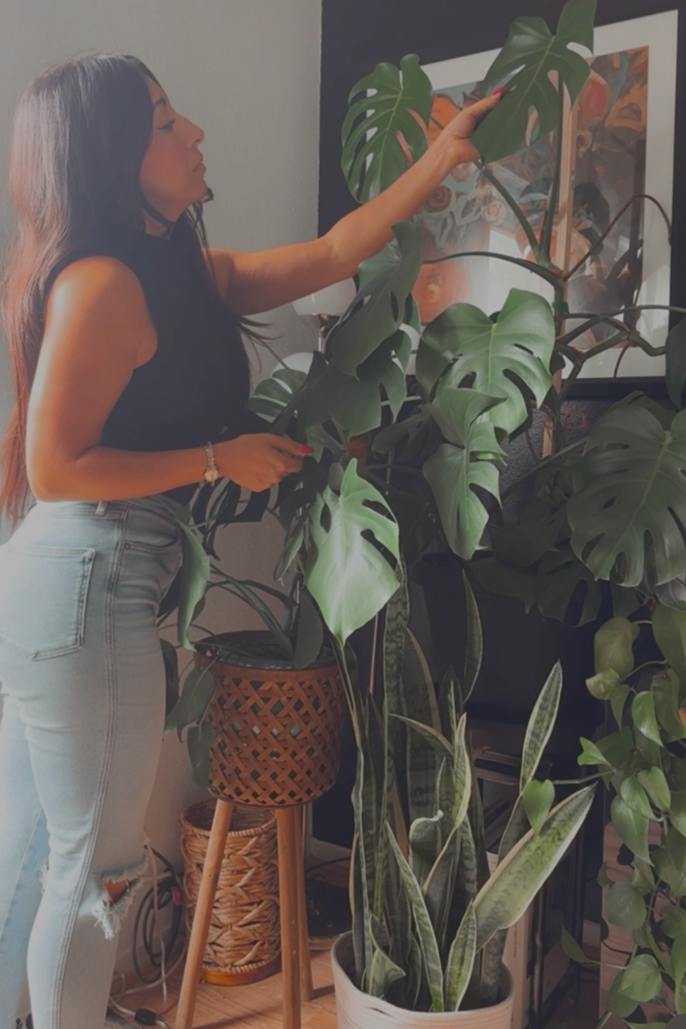 The Ultimate guide to caring for and growing your Monstera Deliciosa 2026