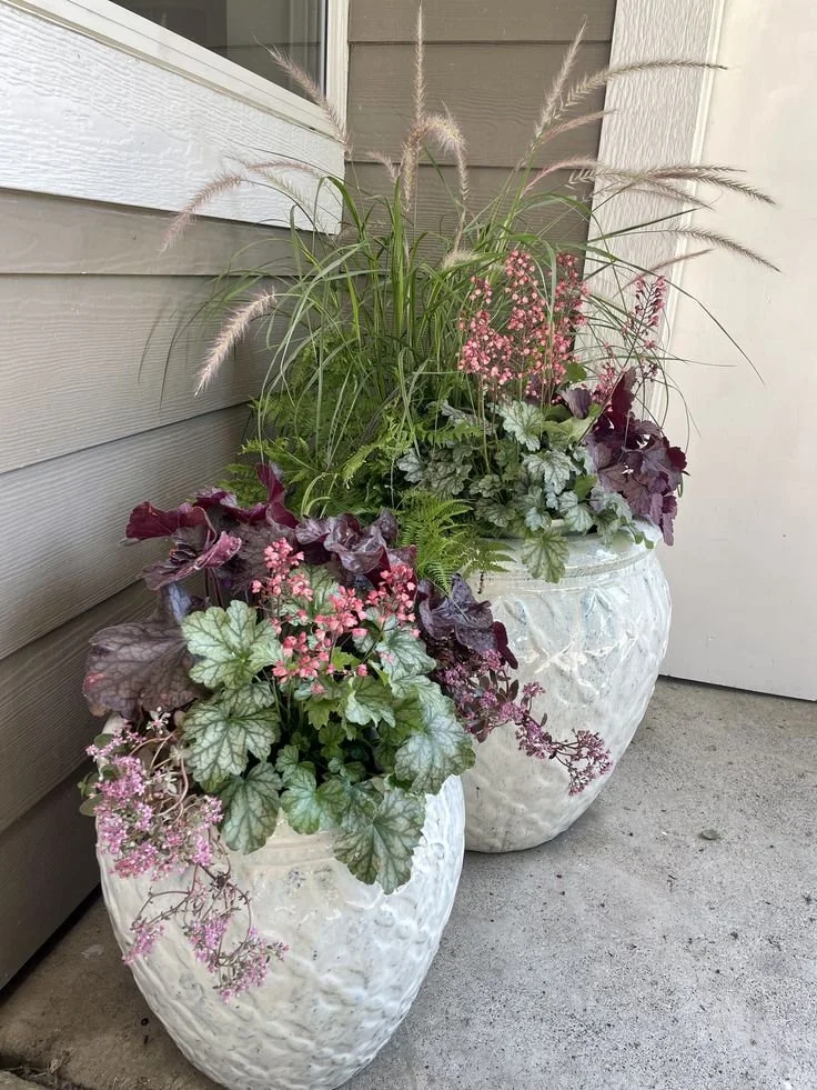 double planters purple plants