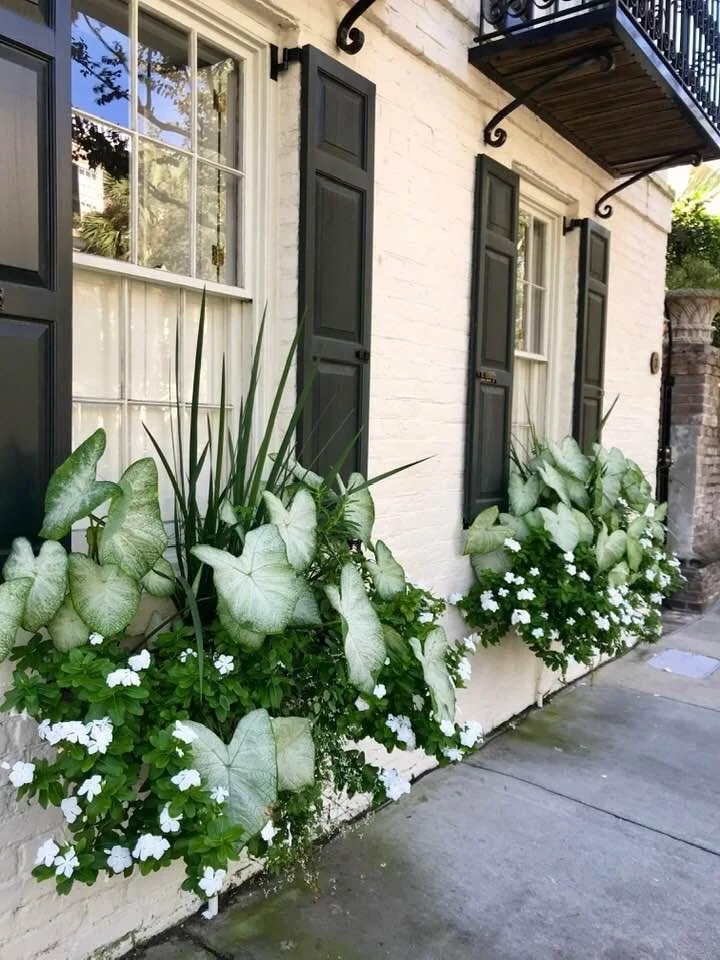 window planters