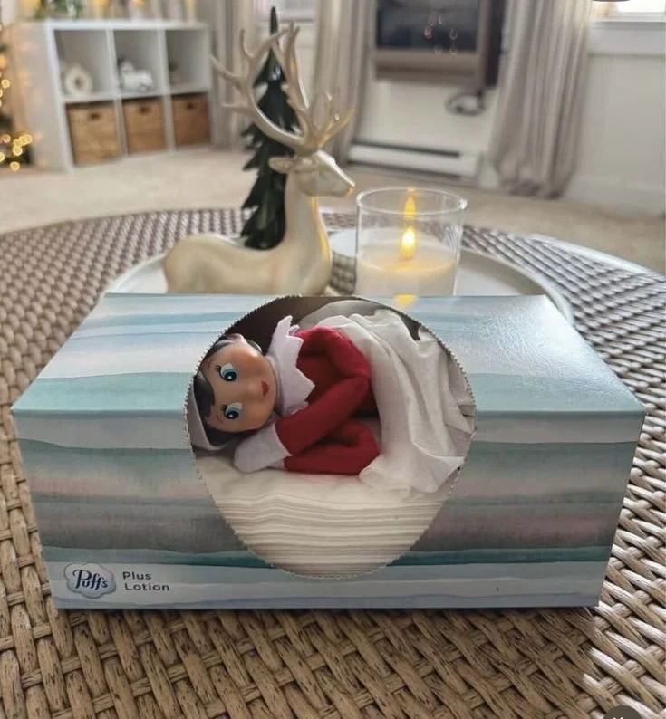 elf naps in a kleenex box