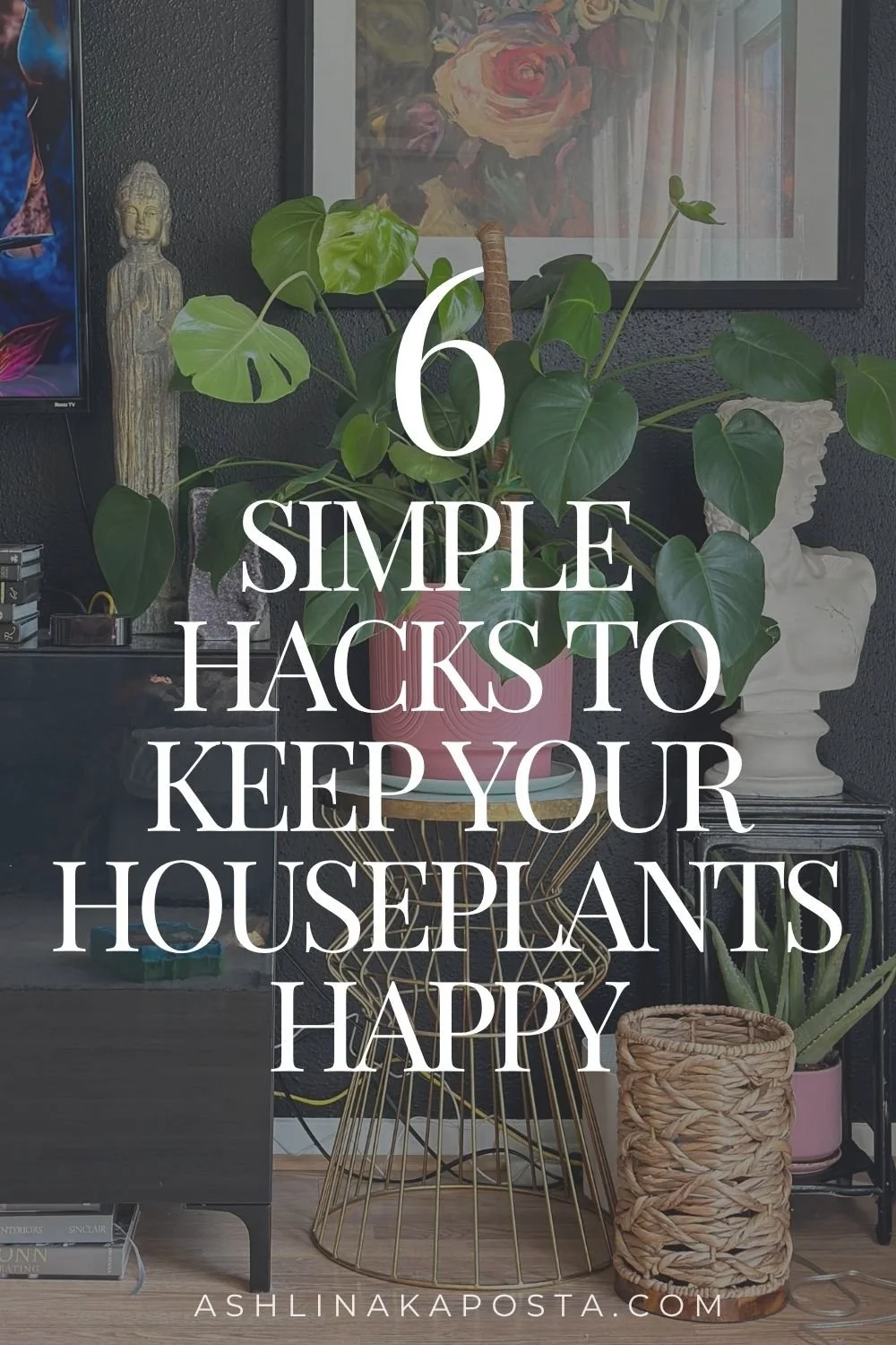6 House plant hacks that will keep your houseplants happy — ASHLINA KAPOSTA