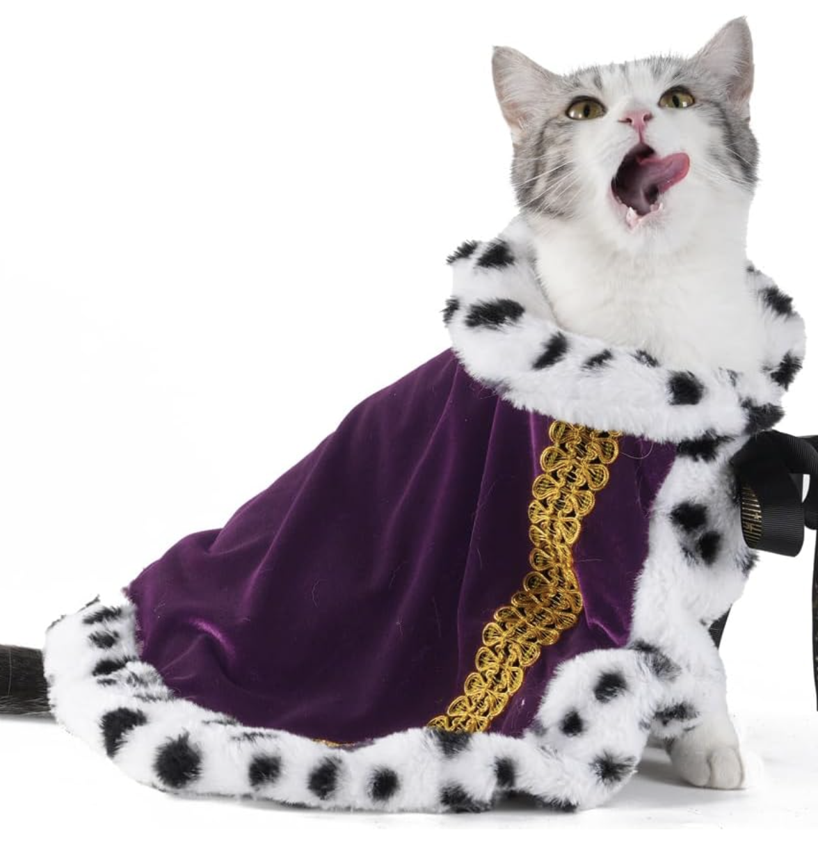 cat king costume