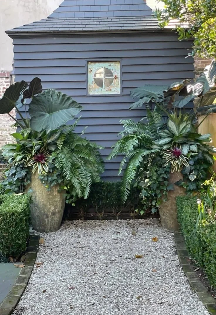 planters with greenery