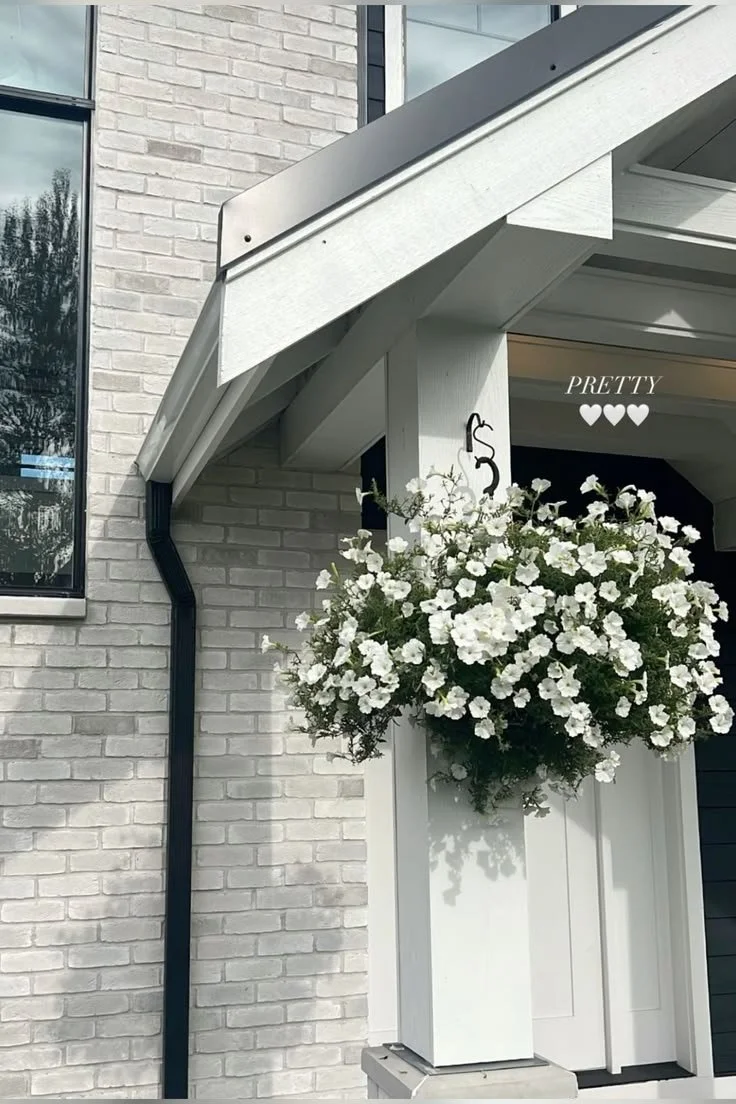 hanging planter