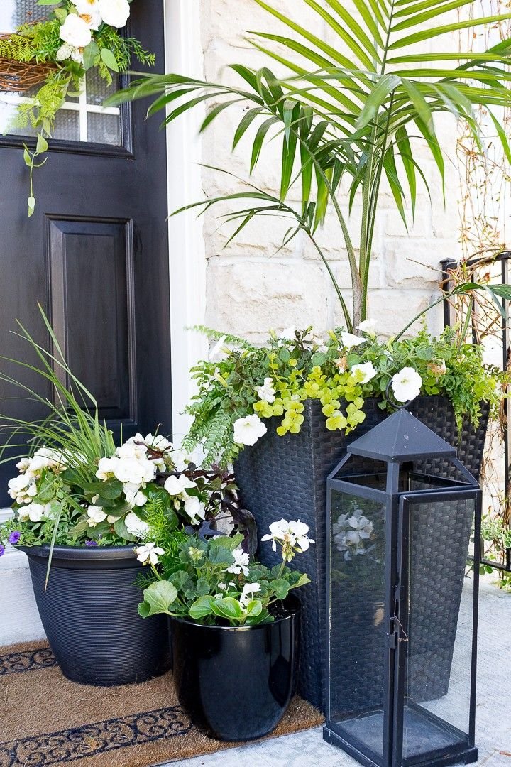 classic container planters