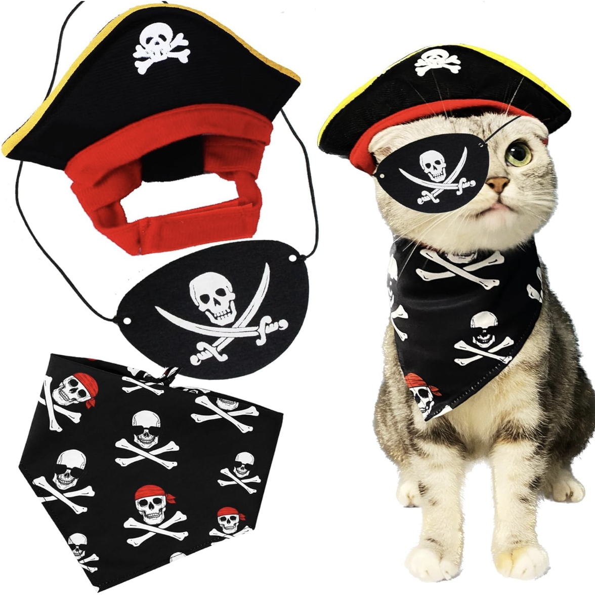 pirate cat costume