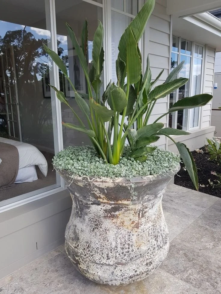 45+ Stunning Front Door Planter Ideas (Genius Tips, Tricks & DIY Know-How)
