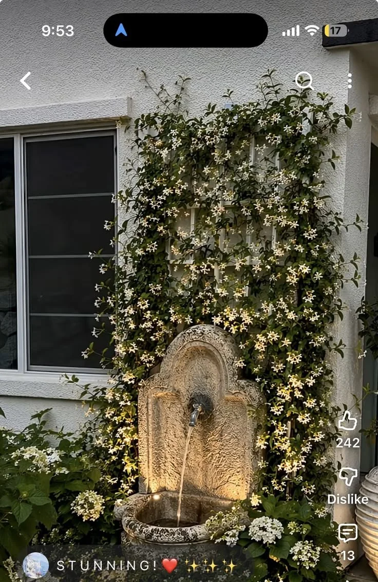 water fountain backyard